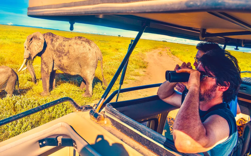 Traveller watching elephants through binoculars from a raised safari roof
